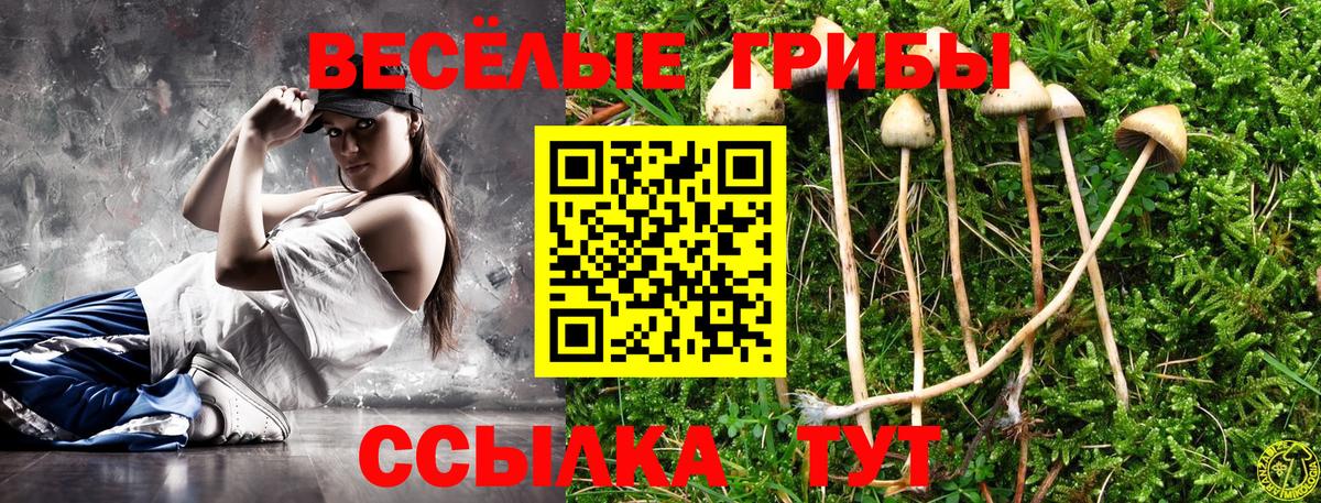 Псилоцибиновые грибы MAGIC MUSHROOMS  Псилоцибиновые грибы Cubensis  Вход с VPN  Вичуга 